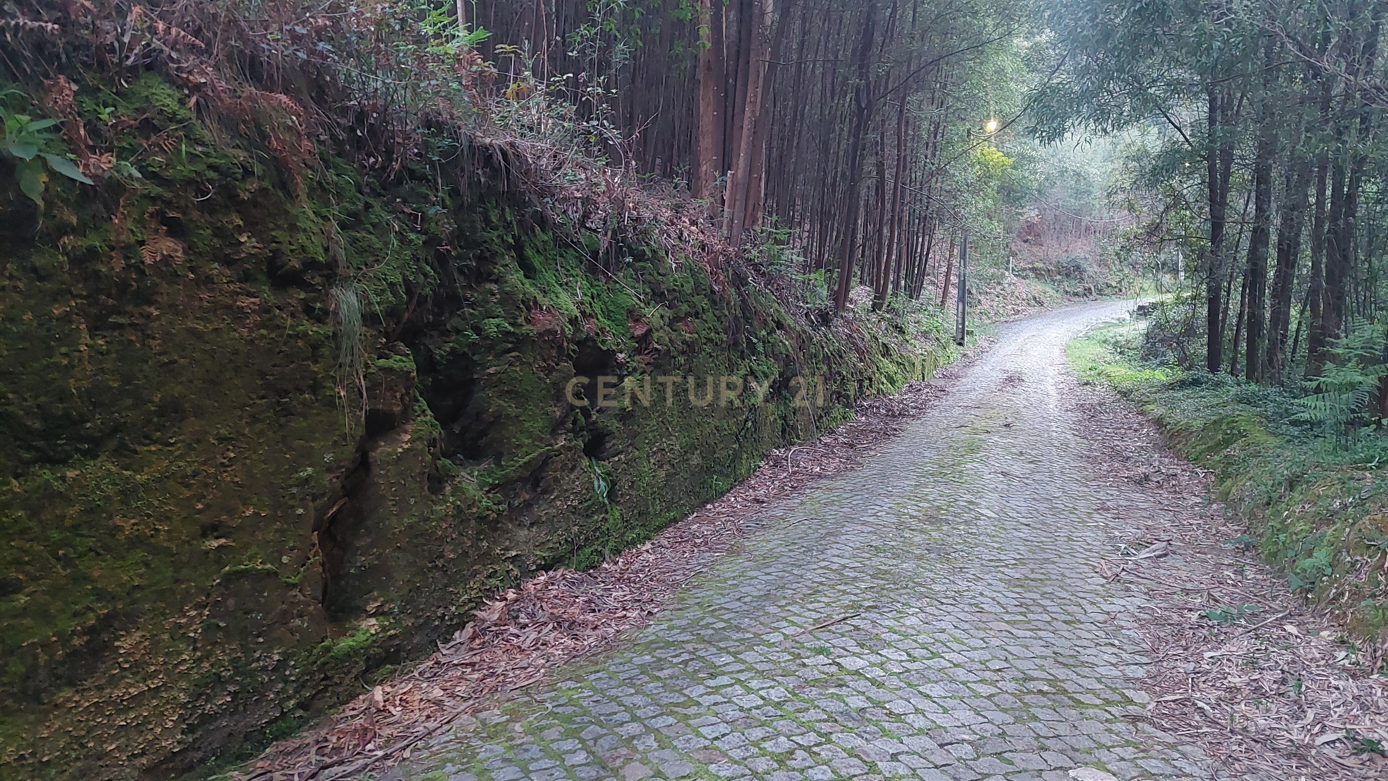 Terreno Rustico em Crestuma, Vila Nova de Gaia - Image 4