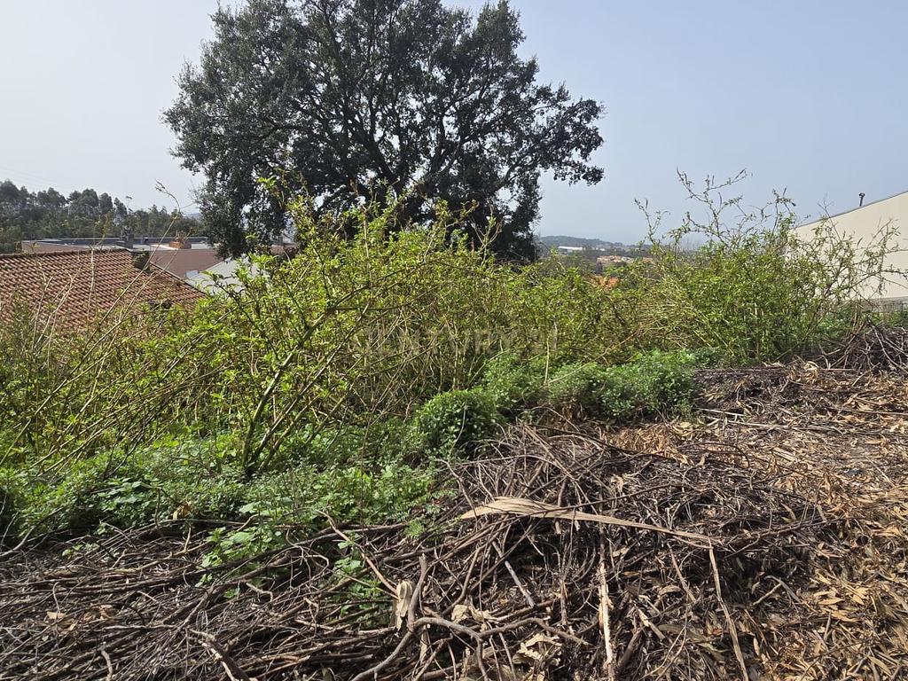 Terreno - Vila Nova de Gaia, Canelas - Image 5