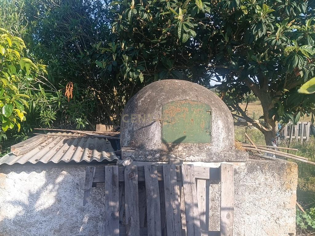 Excelente terreno em Santa Eulália Elvas - Image 13