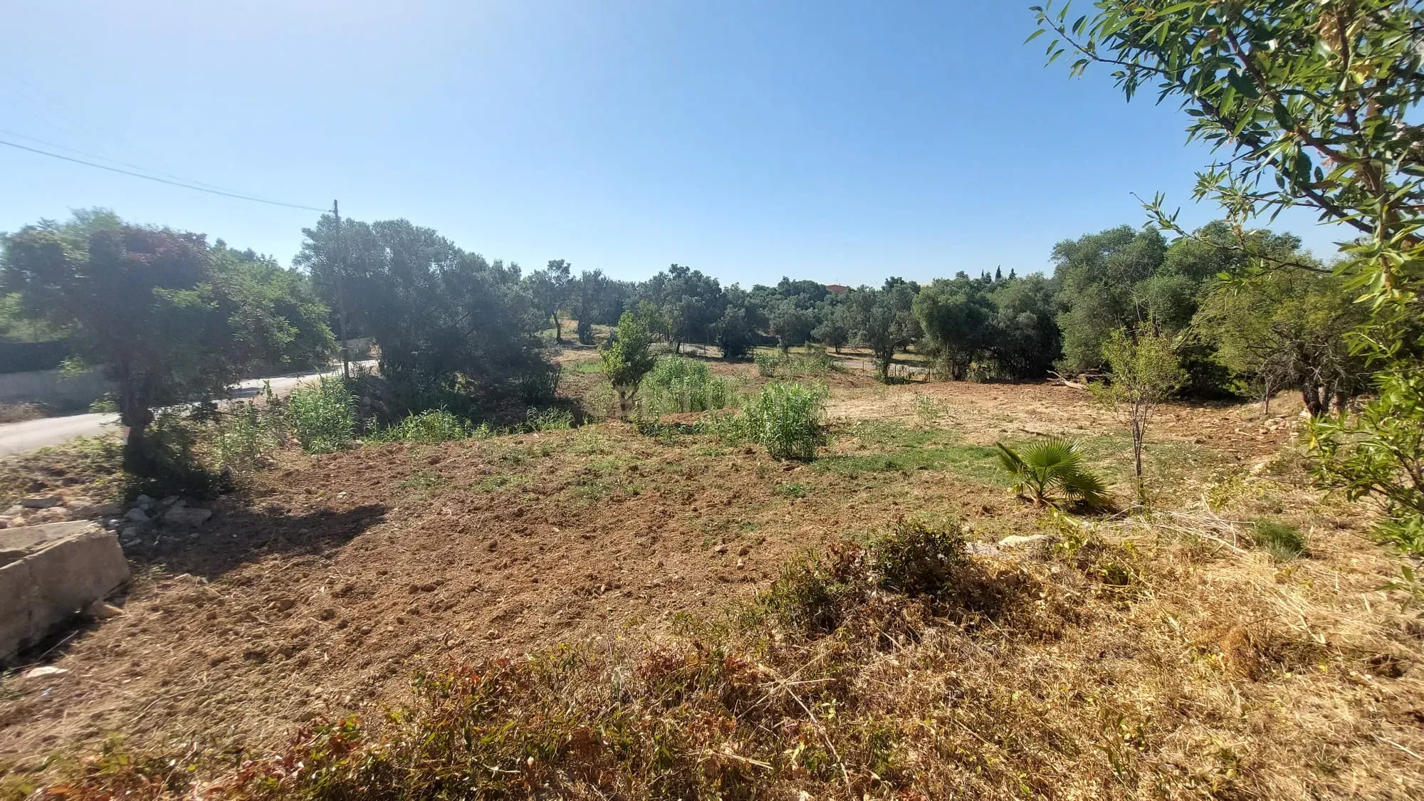 Fotografia 11 de Terreno Rústico com 2.280 m² em Santa Bárbara de Nexe – Sítio do Canal