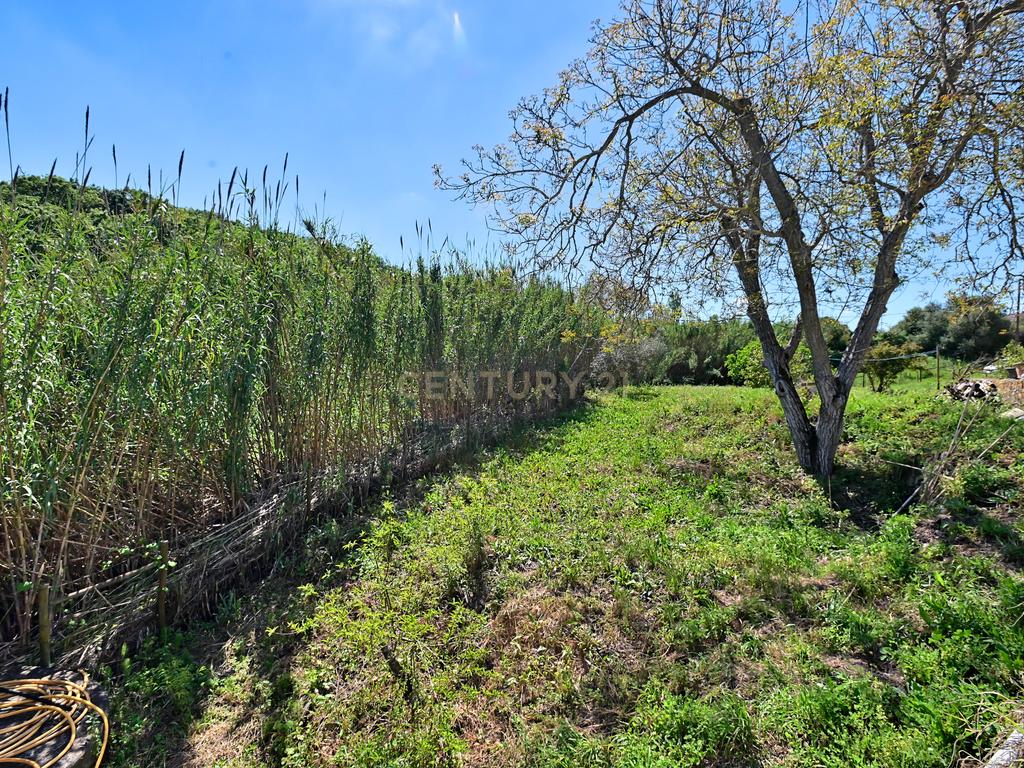 Bela Casa de Campo em Santarém  - Image 26