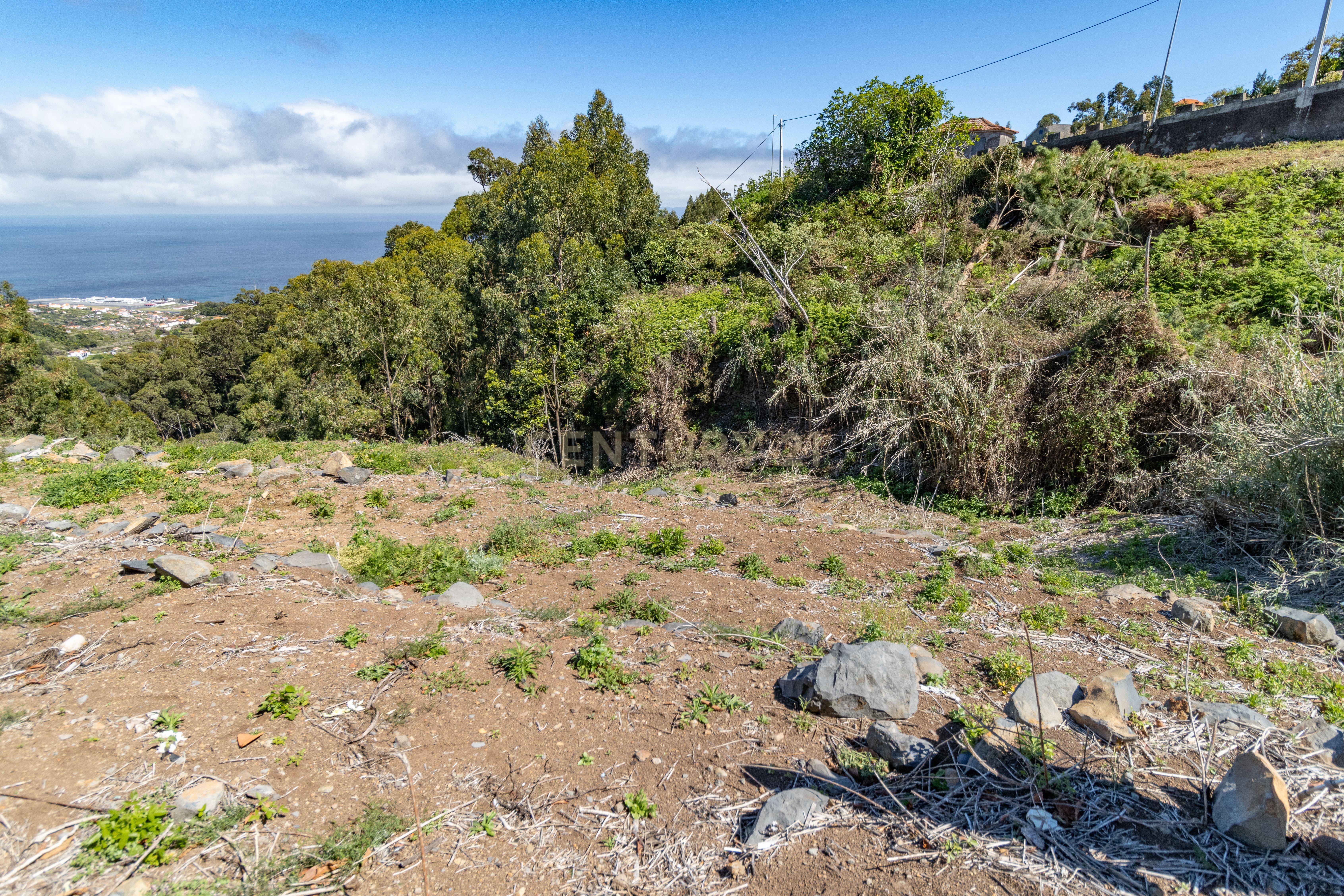 Fotografia 6 de Terreno com Vista Mar e Potencial de Construção em Santa Cruz