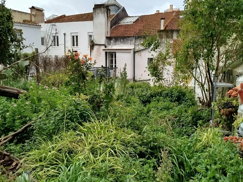 Edifício para Recuperação com Vista para o Rio em Lisboa (São Vicente) - Image 34