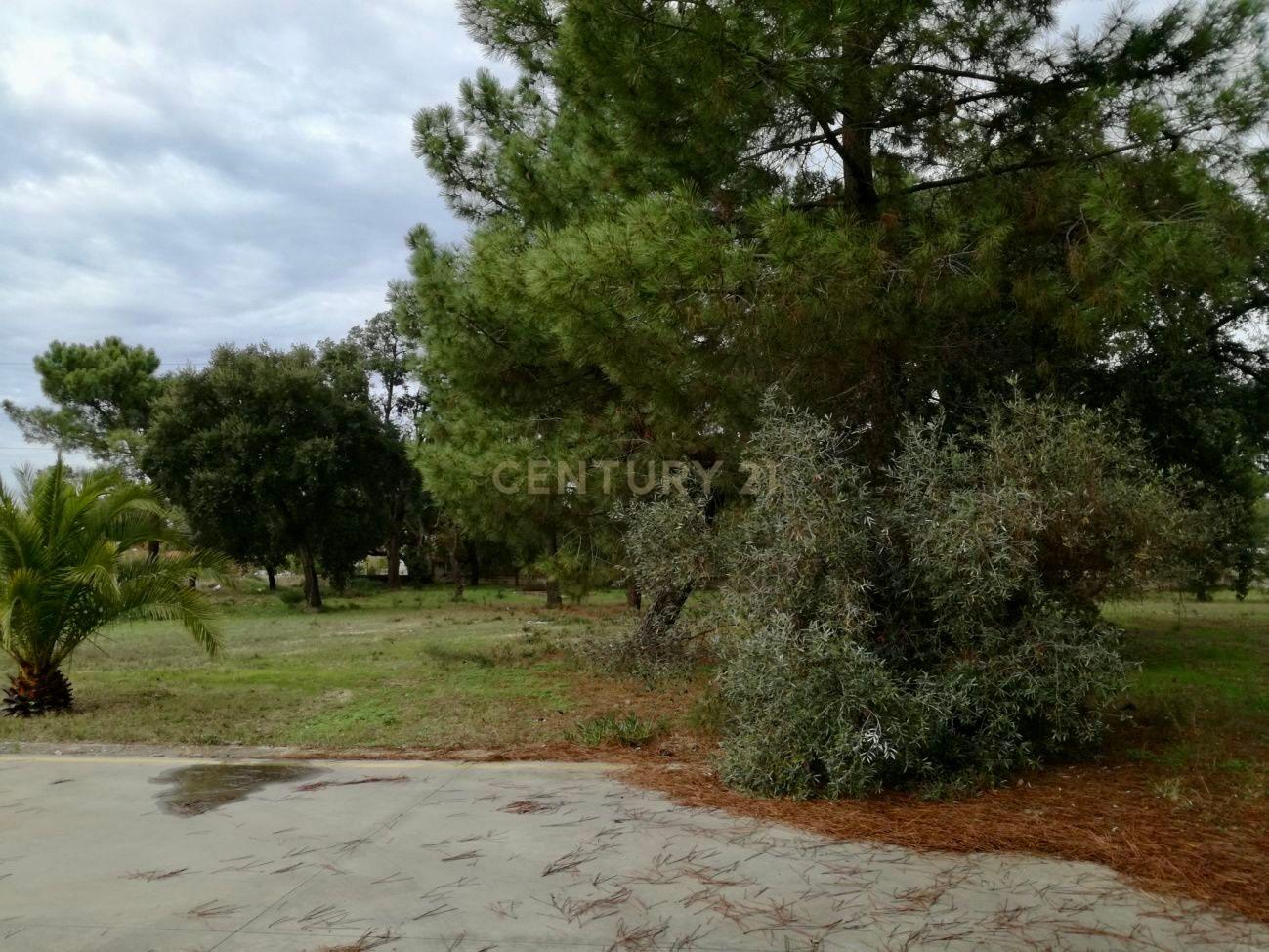 Armazém Industrial com 2.000 m² implantado em terreno de 16.188 m² – Quinta do Anjo - Image 6