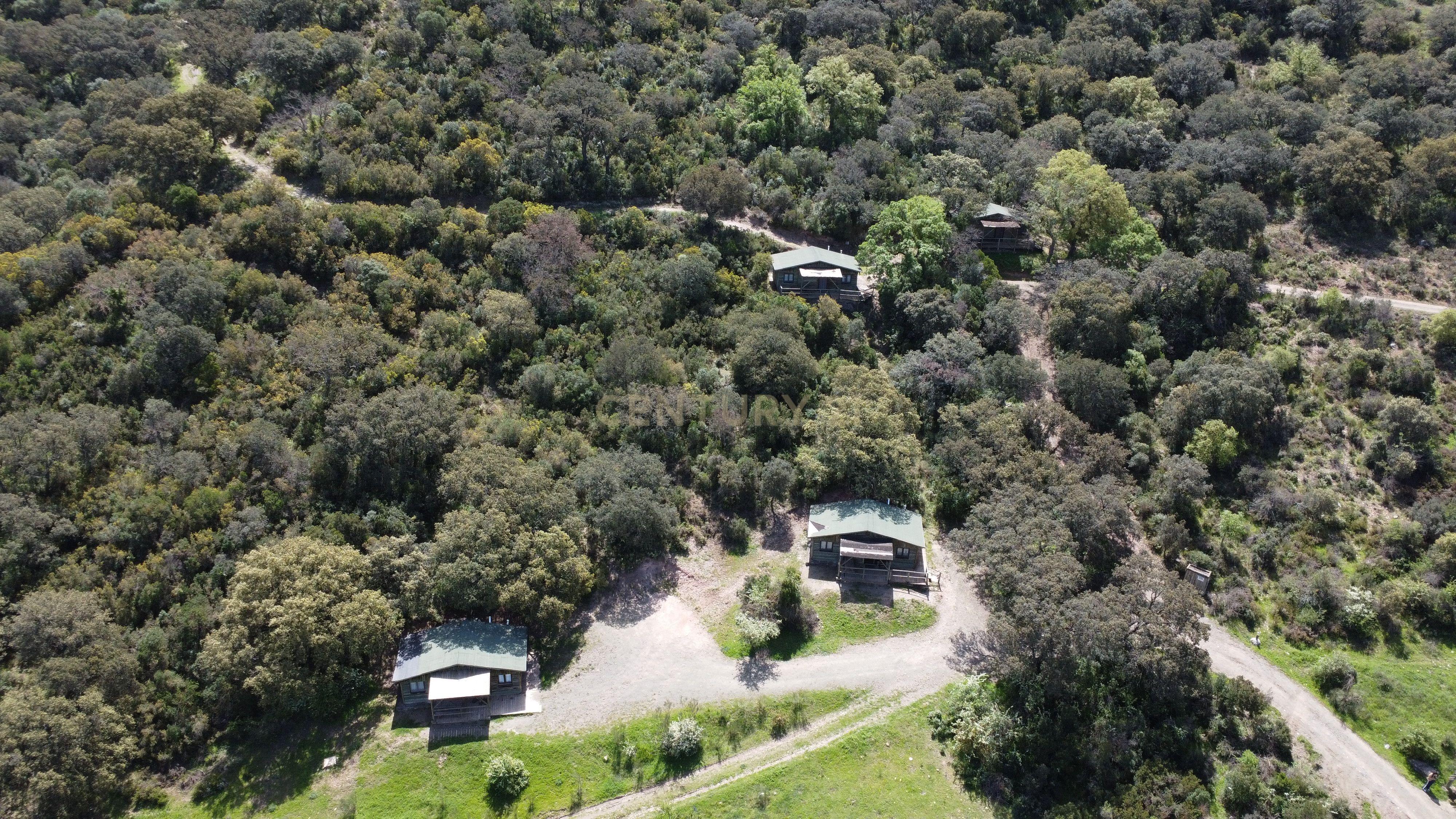 VENDA DE PROPRIEDADE RÚSTICA EM ANTEQUERA COM EXPLORAÇÃO DE AGROTURISMO - Image 13