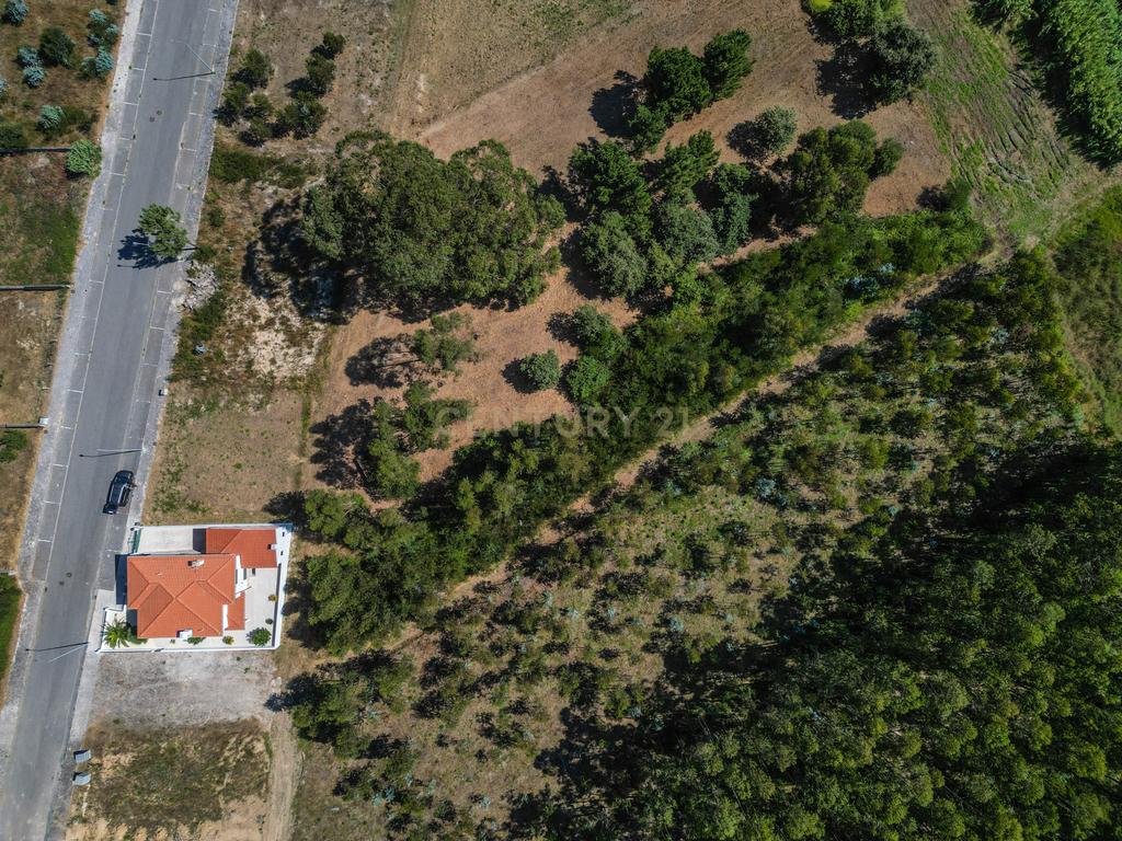 Terreno para investimento em Lavos, Figueira da Foz apenas a 5km da praia - Image 13
