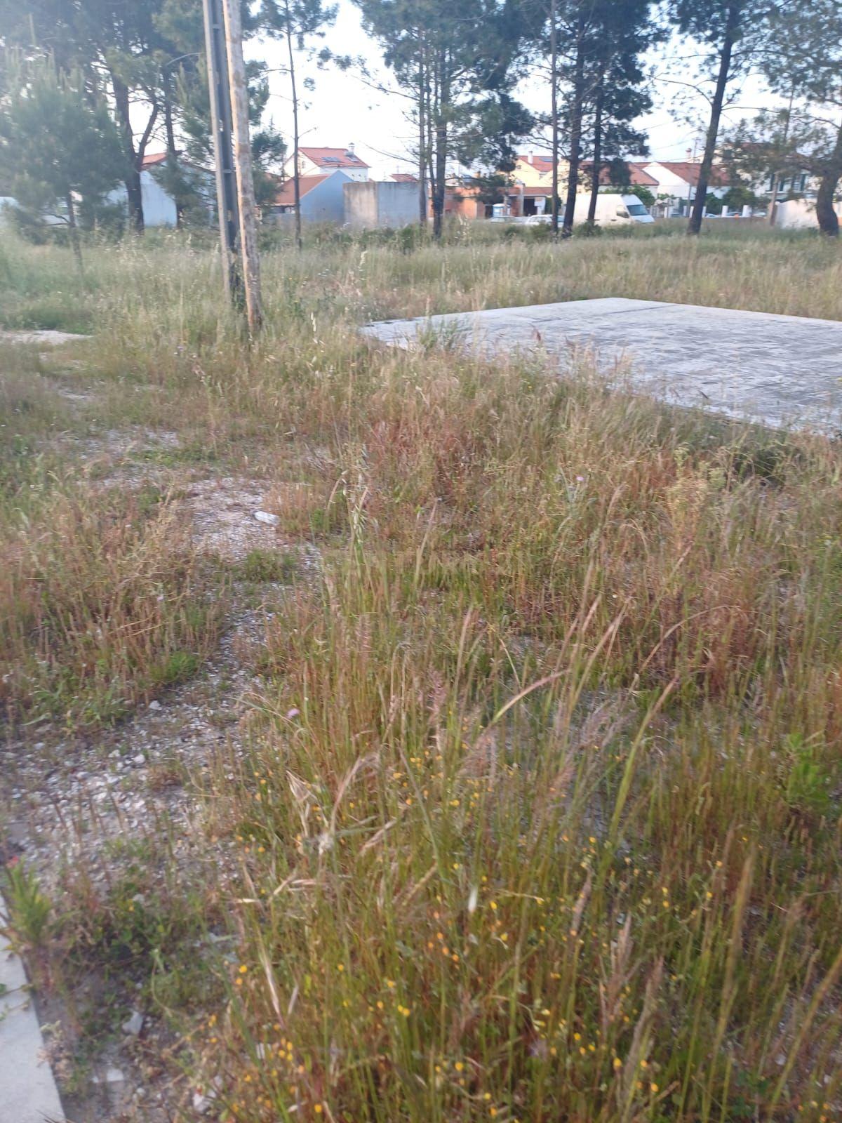 Terreno Urbano em Fernão Ferro - Image 5