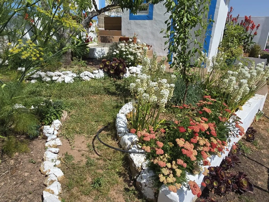 Moradia Renovado com Terraço e Jardim Caixaria - Torres Vedras - Image 41