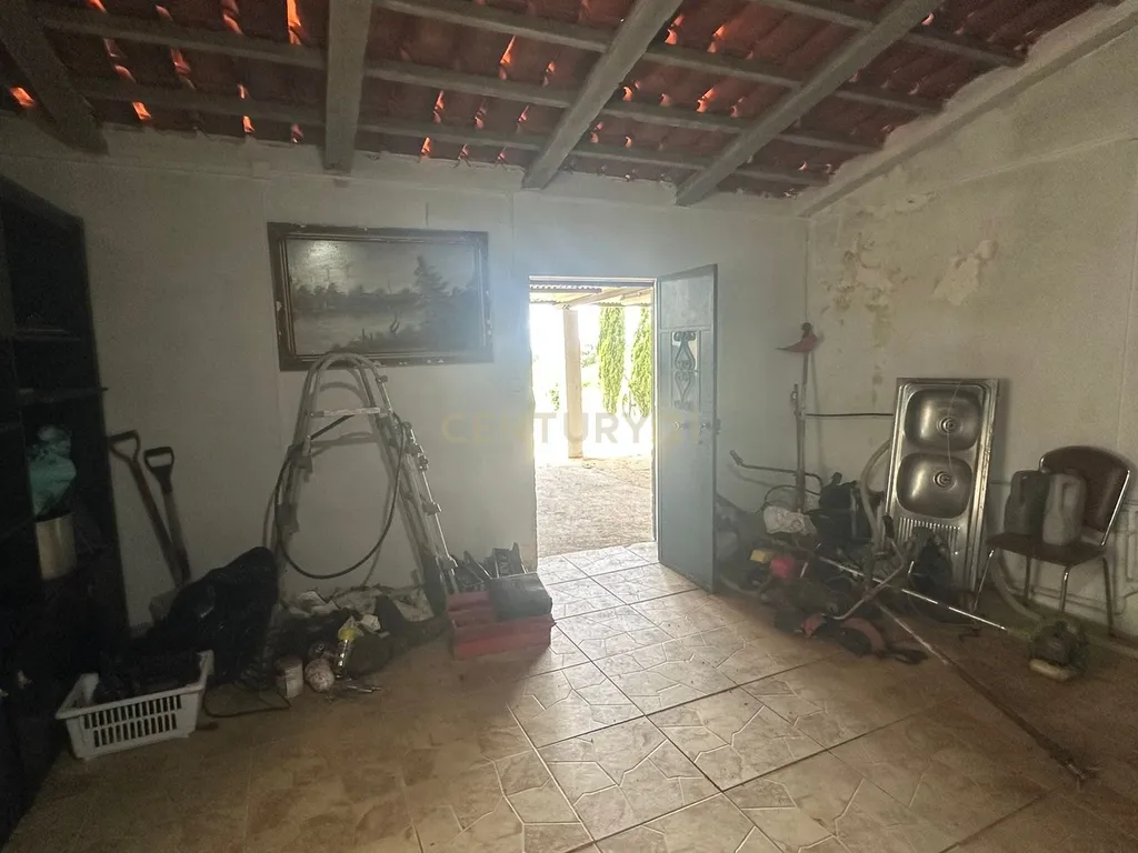 Fantástica Quinta, 5.3ha- Zebreira, Idanha-a-nova - Image 6