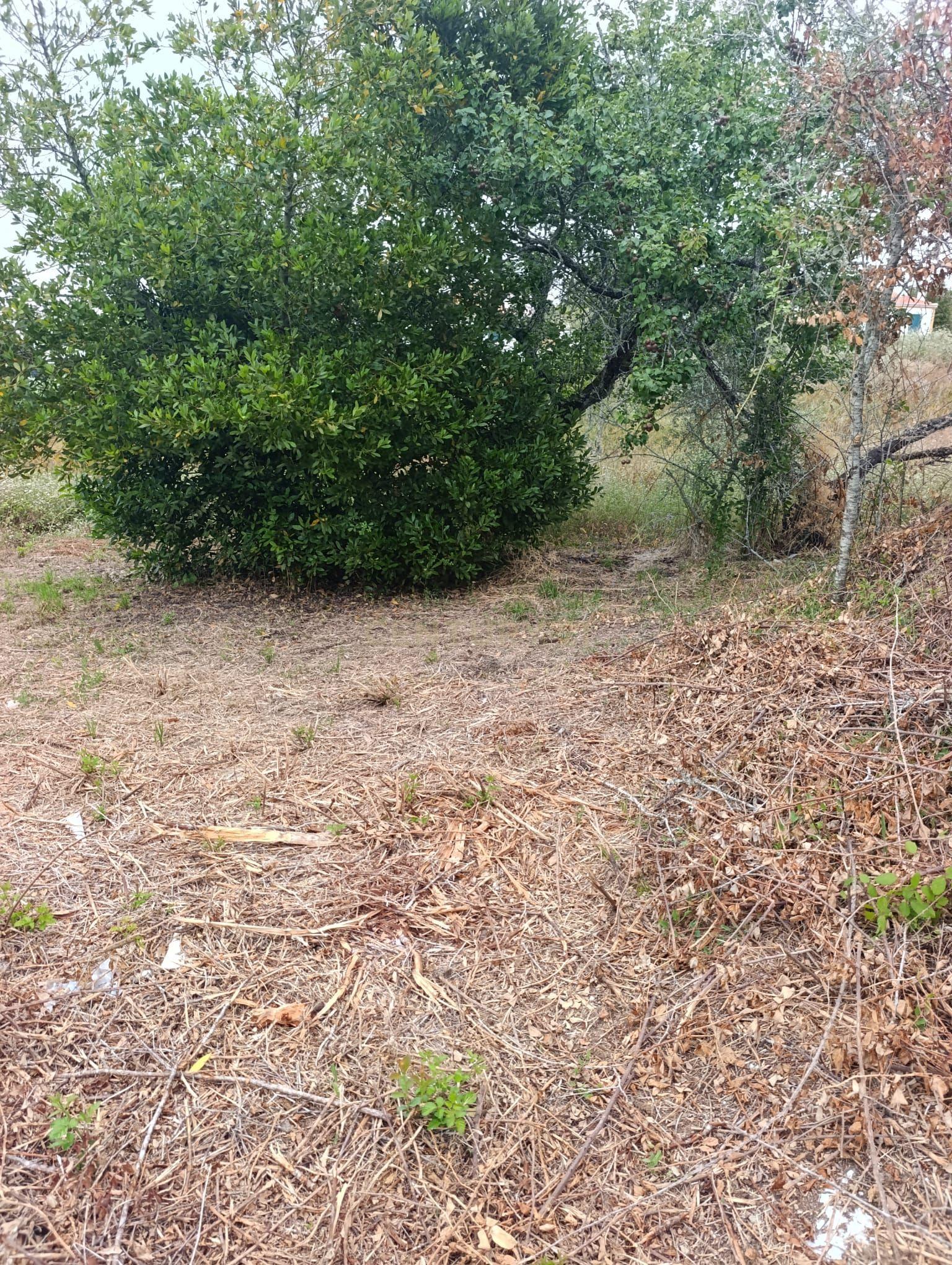 Fotografia 11 de Terreno com 1.225 m² em Sesimbra