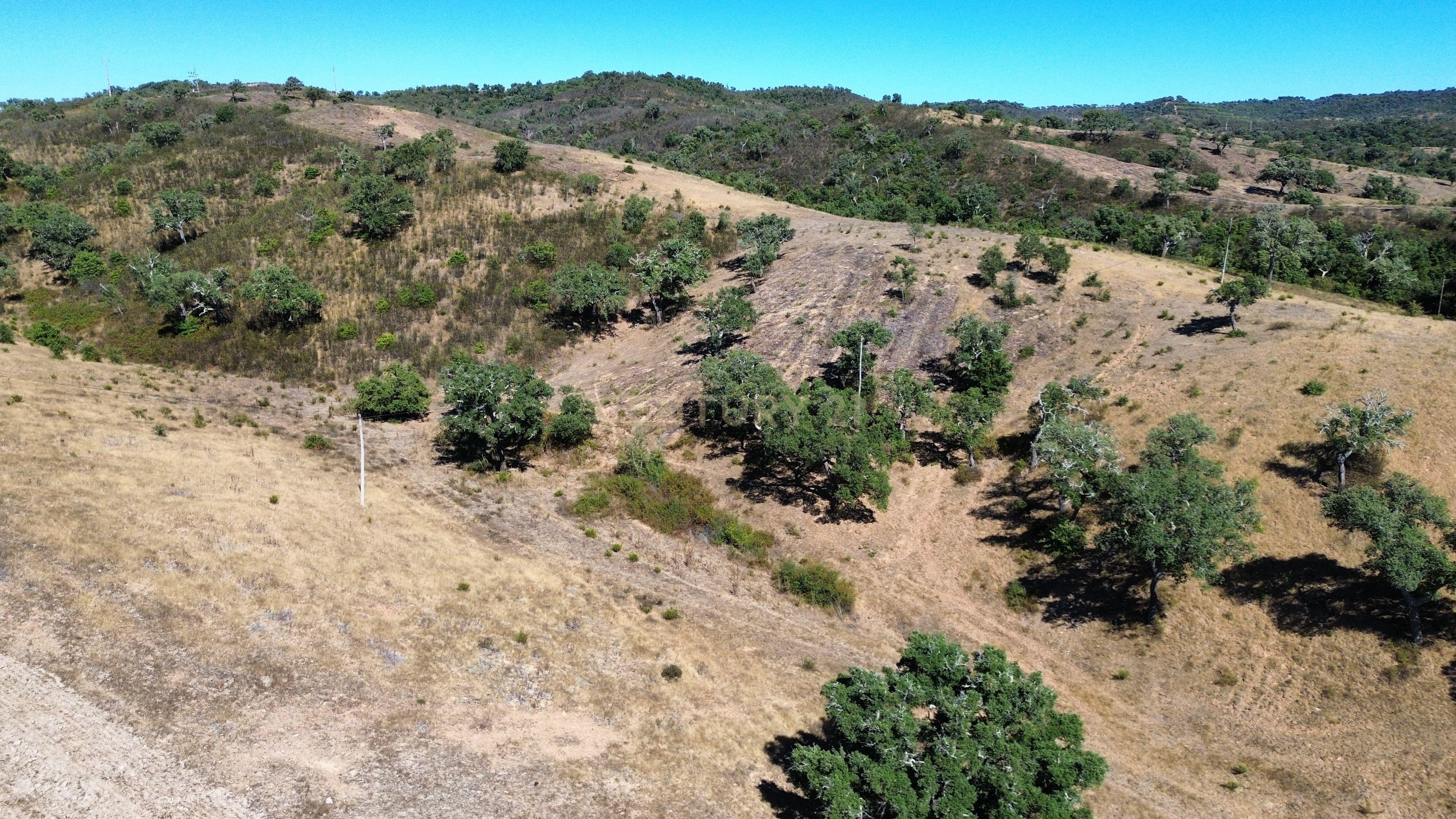 Fotografia 8 de HERDADE COM 193 HECTARES | BOAVISTA DOS PINHEIROS, ODEMIRA