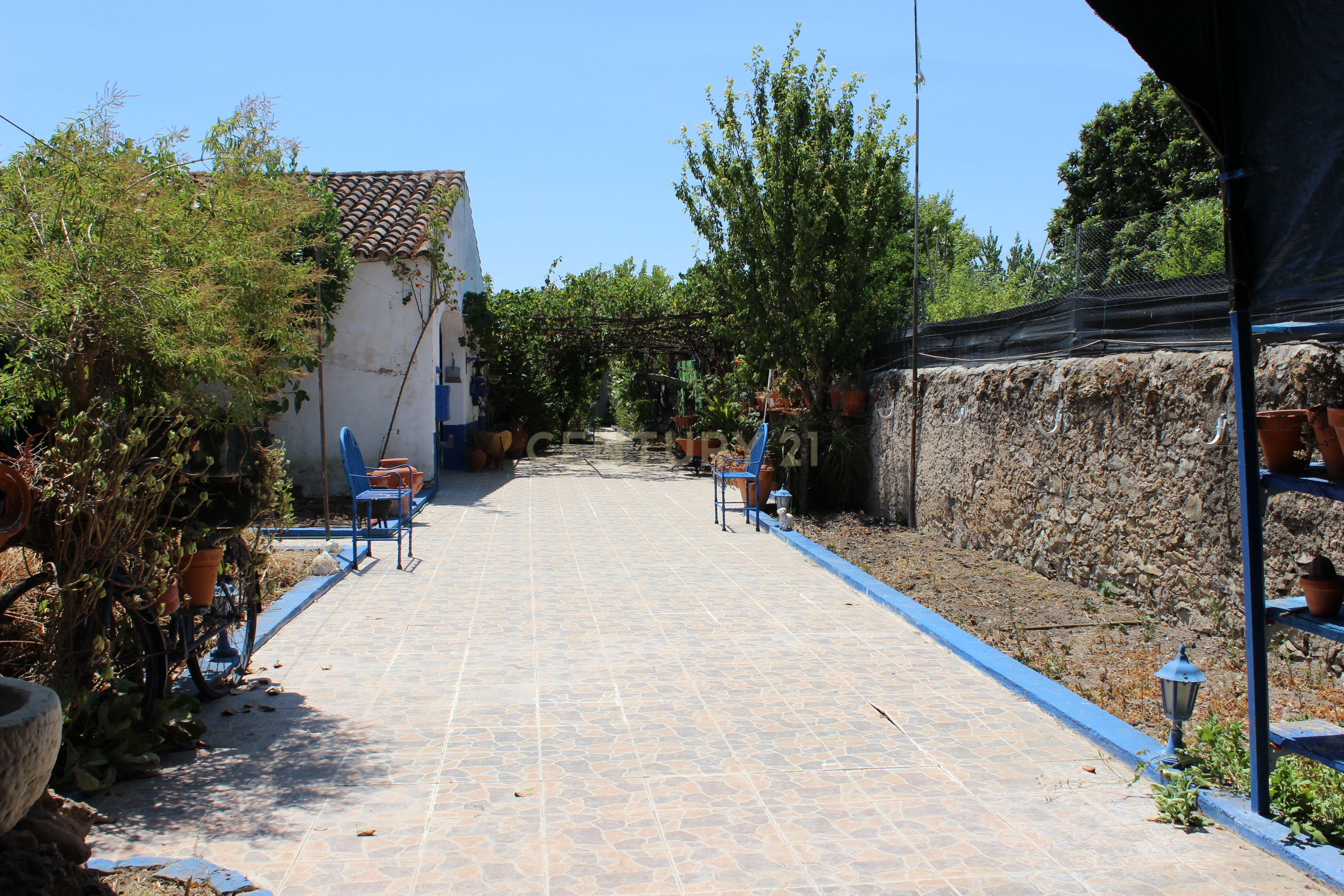 Fotografia 10 de Moradia T4 com terreno de 1.050m2 em Cano (Sousel)