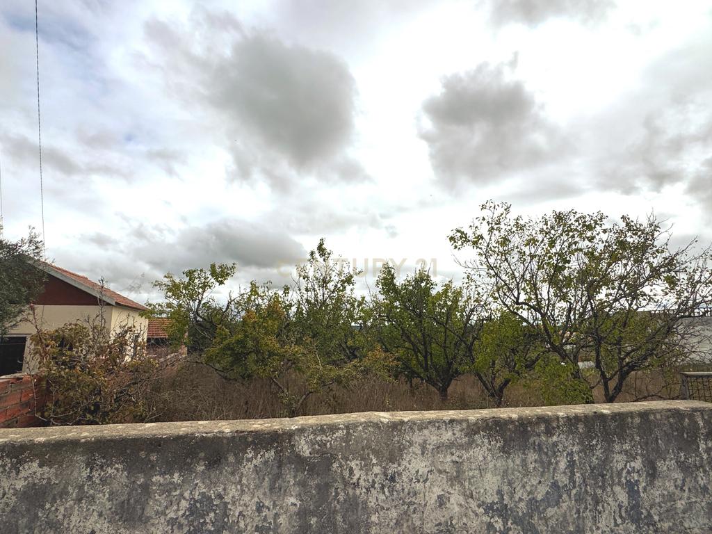 Terreno para Construção com 1300m² em Montes de Alcobaça – Vista Serra dos Candeeiros - Image 5