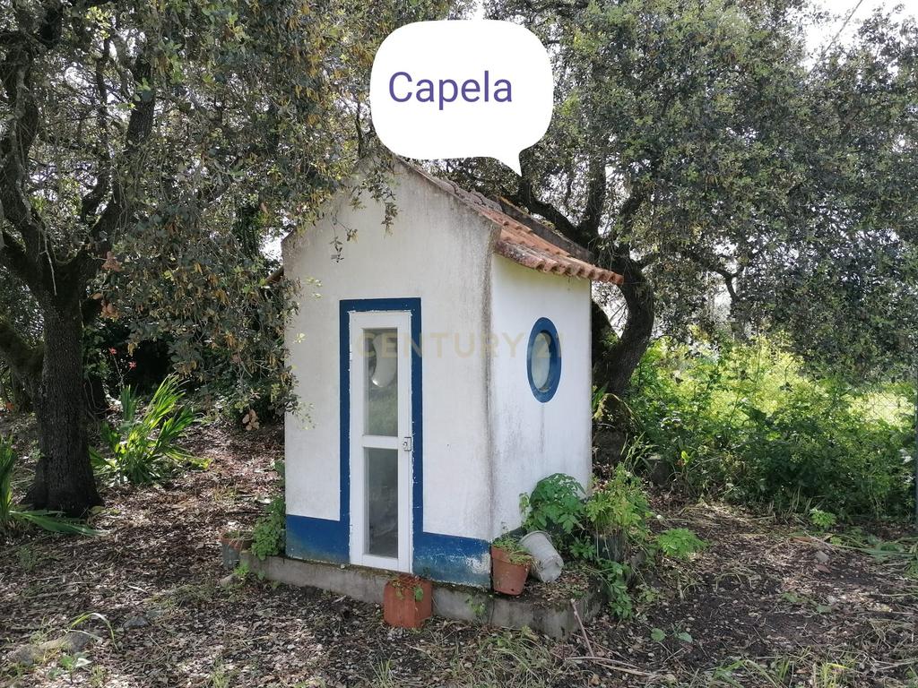 Quinta Rústica em Évora com 8.750 m2 e uma Vista Campestre - Image 6
