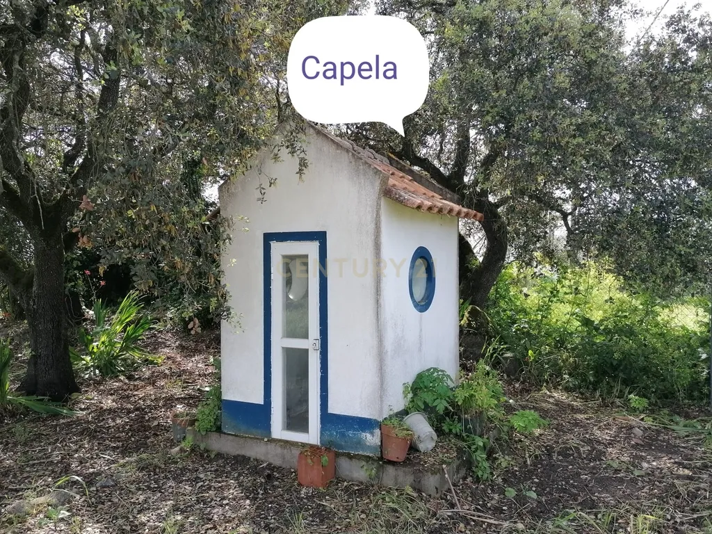 Quinta Rústica em Évora com 8.750 m2 e uma Vista Campestre - Image 6