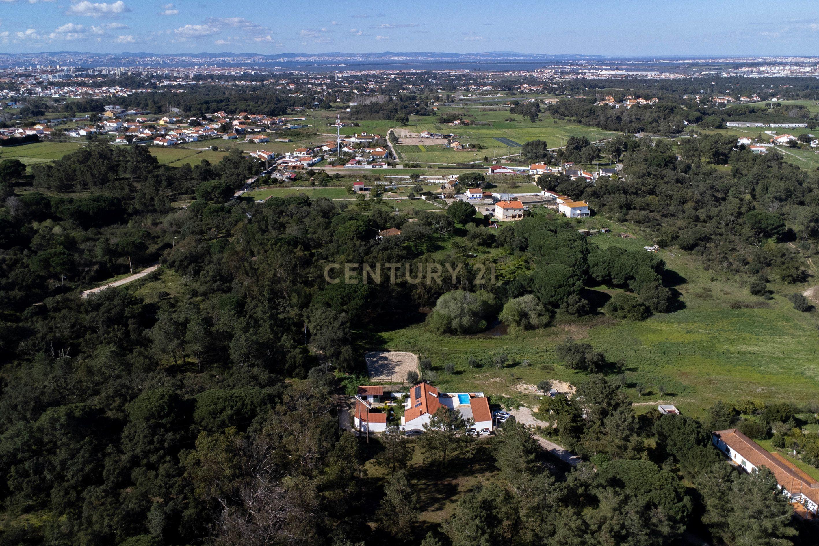 Moradia T4 com Piscina, Jardim e Tranquilidade – Bairro da Piedade, Moita - Image 3