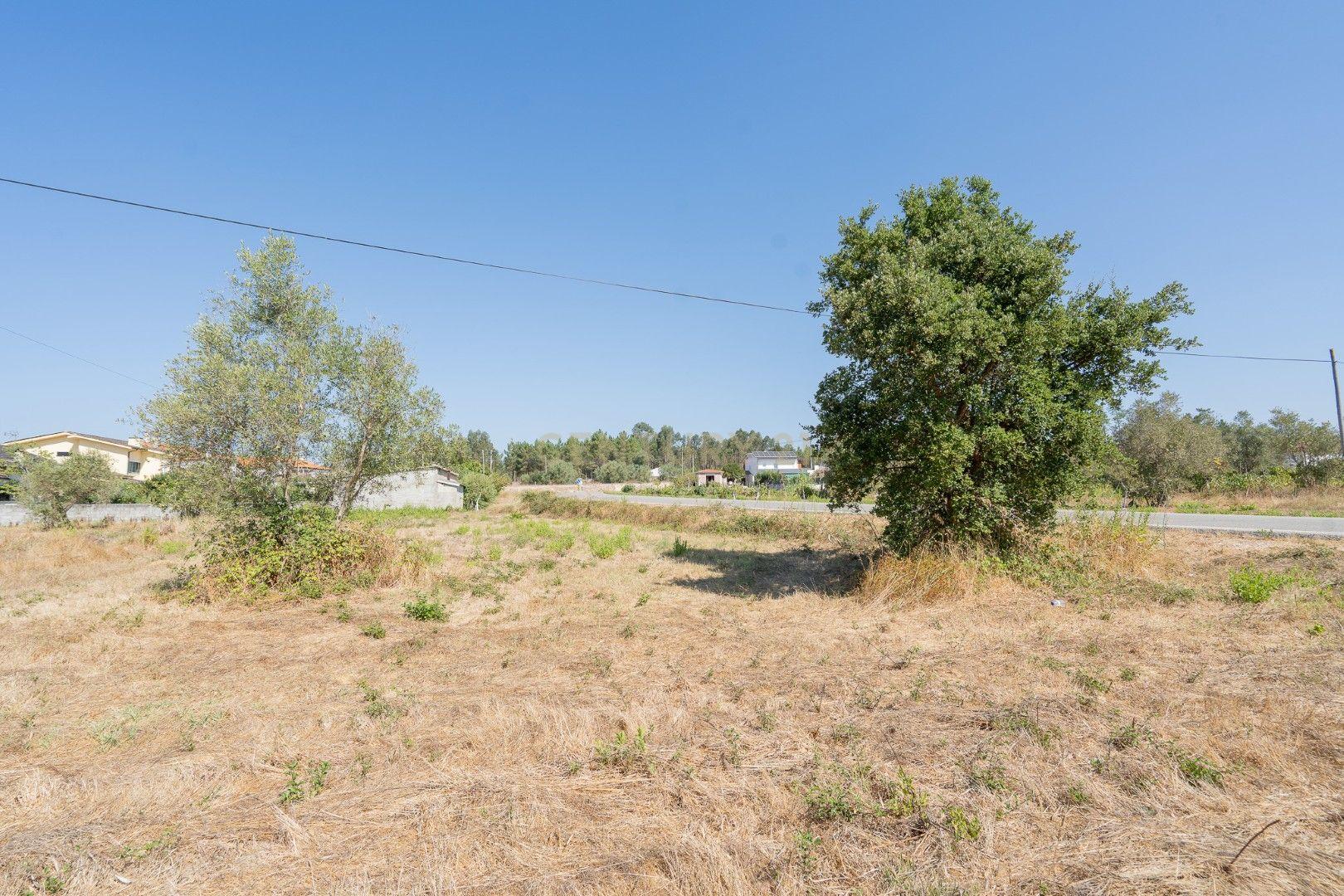 Fotografia 12 de Terreno Urbano para Construção de Moradia, Vila Nova de Poiares