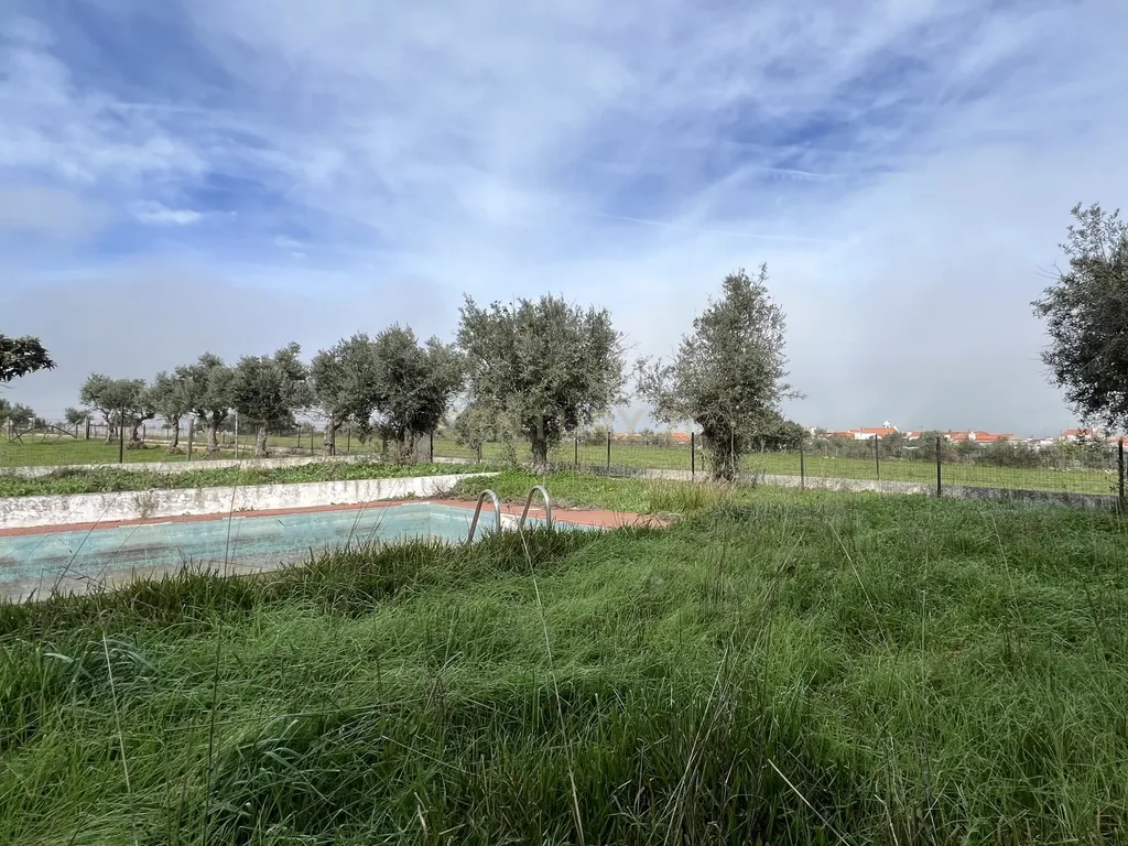 Magnífica Quinta em Monforte com Vista Panorâmica e Piscina - Image 6