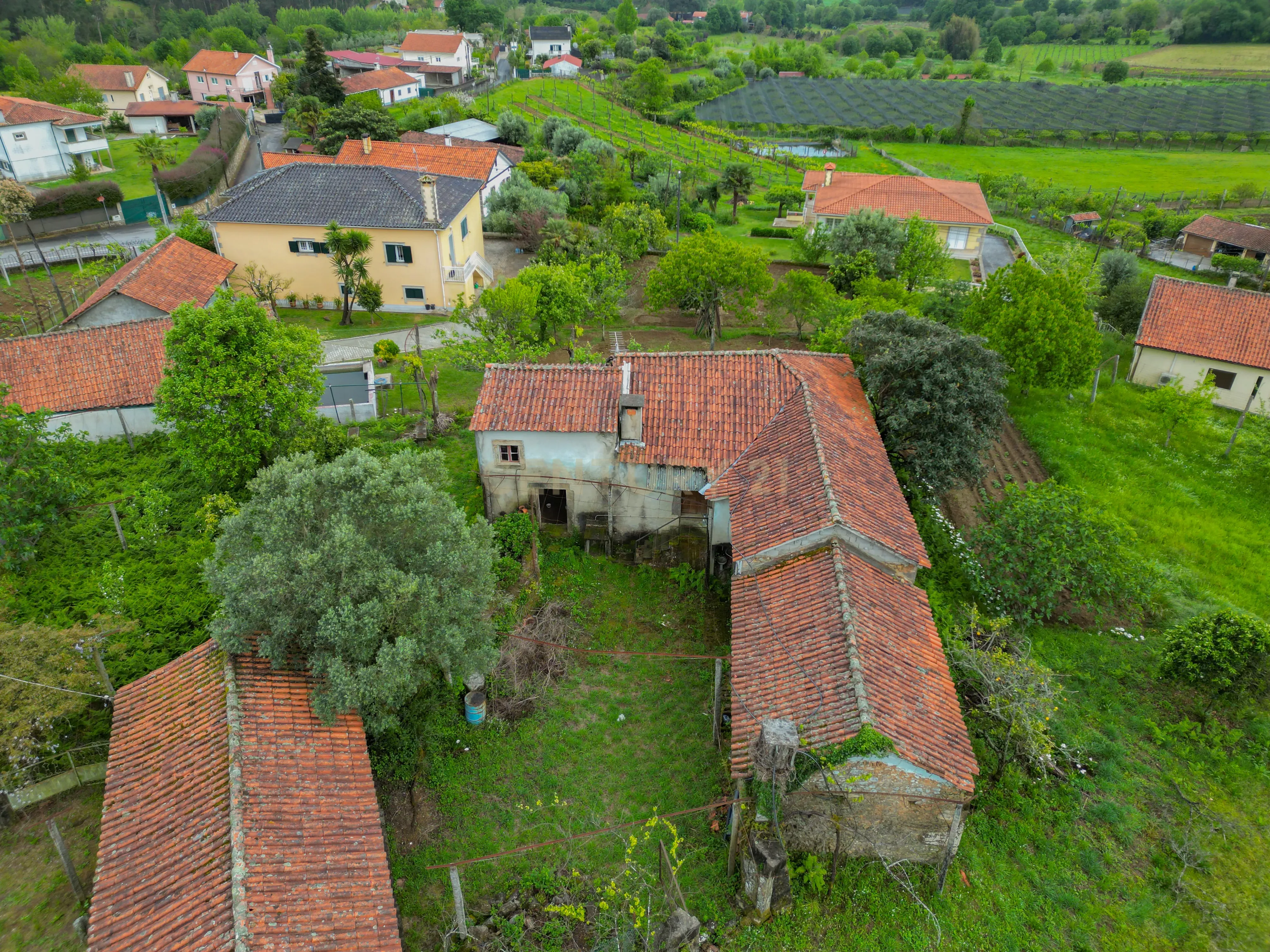 Fotografia 6 de Casa para Recuperação em Escariz S. Martinho, Vila Verde
