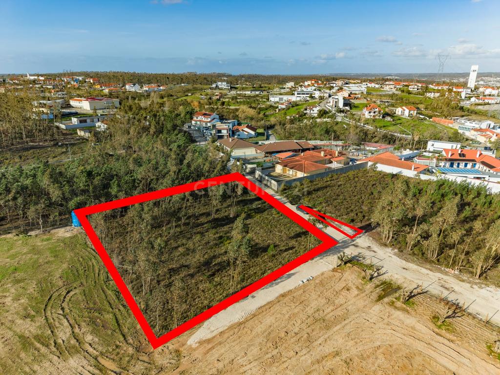 Terreno Rústico com Viabilidade de Construção — Barosa, Leiria - Image 15