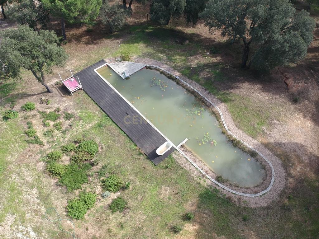 Quinta a 1 hora de Lisboa - Cortiçadas de Lavre - Próximo novo Aeroporto!!! - Image 7