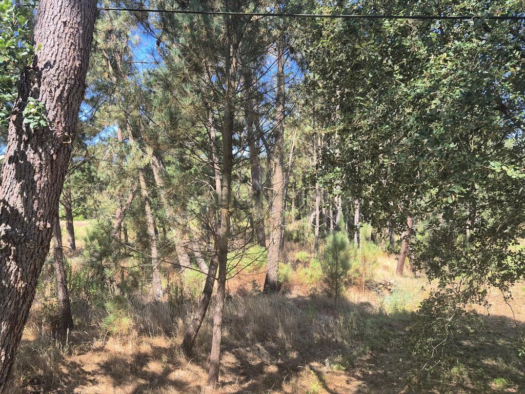 Terreno para Construção em Pombal, Leiria - Oportunidade Única! - Image 23