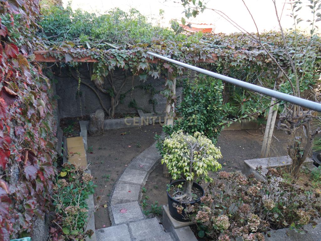 undefined - Image 41