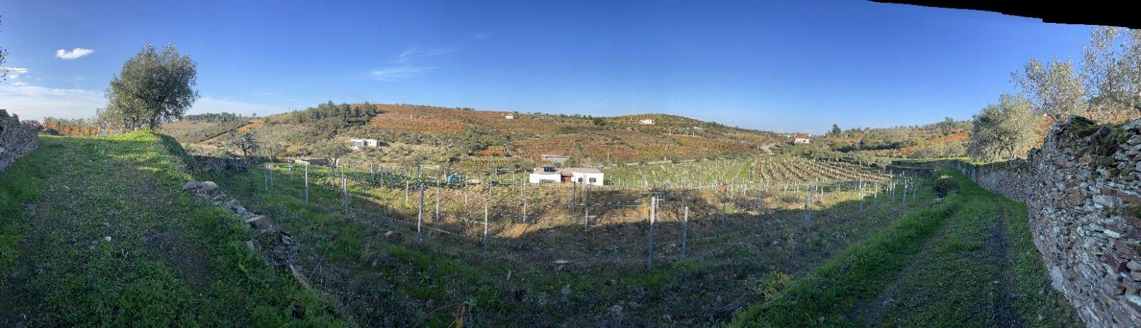 🏡Quinta com Moradia T3 e Vinha no Coração do Alto Douro Vinhateiro – Património Mundial da UNESCO - Image 50
