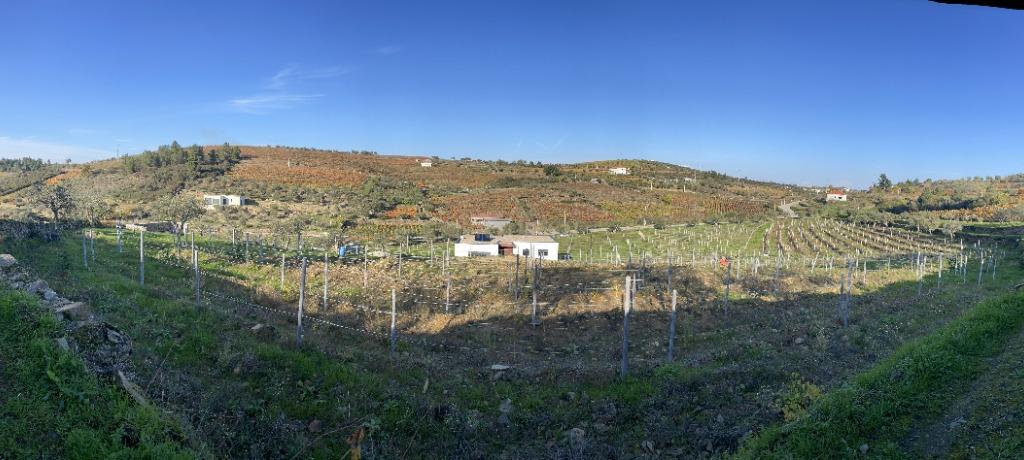 🏡Quinta com Moradia T3 e Vinha no Coração do Alto Douro Vinhateiro – Património Mundial da UNESCO - Image 50