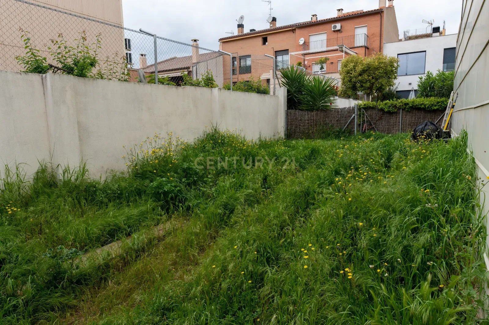 - Image 6