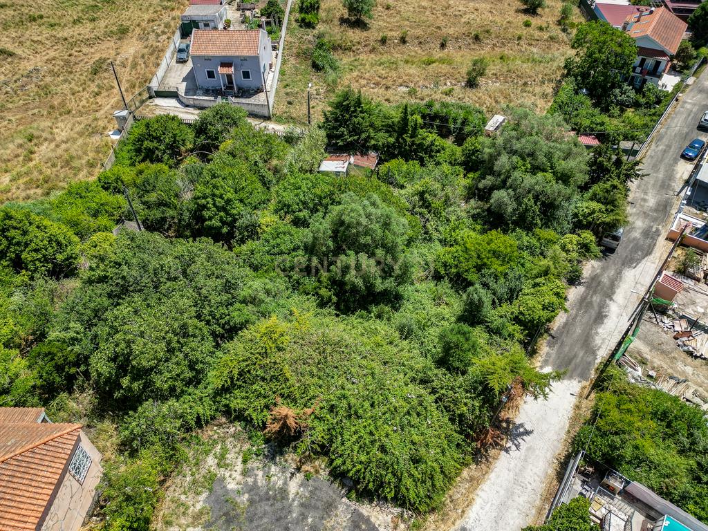Terreno à Venda em Vale de Almornos – 1.000 m² de Natureza, Potencial e Tranquilidade! - Image 13