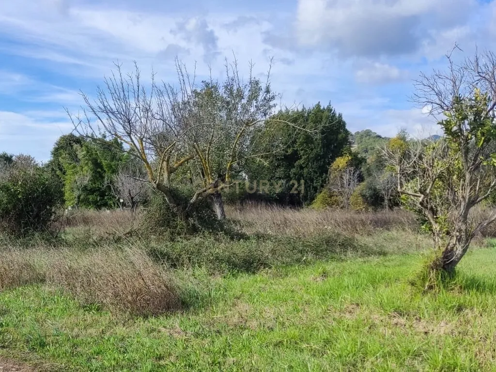 Moderna Moradia T4 em Selva, Mallorca - 650.000€ - Image 37