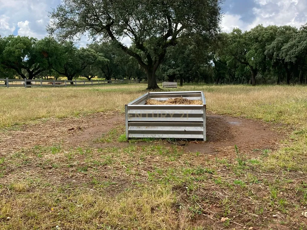 Herdade da Pedra Longa — Um Património Único no Coração do Alentejo - Image 9