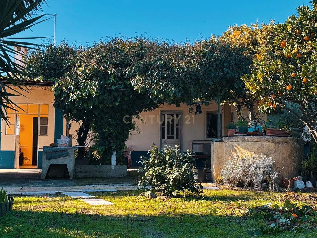 Quinta com possibilidade de investimento - Image 1