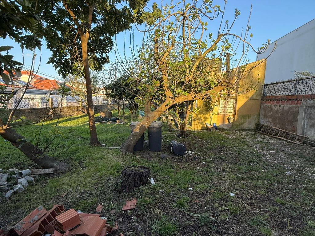 Terreno à Venda na Aroeira - Próximo às Praias e Comércio - Image 7