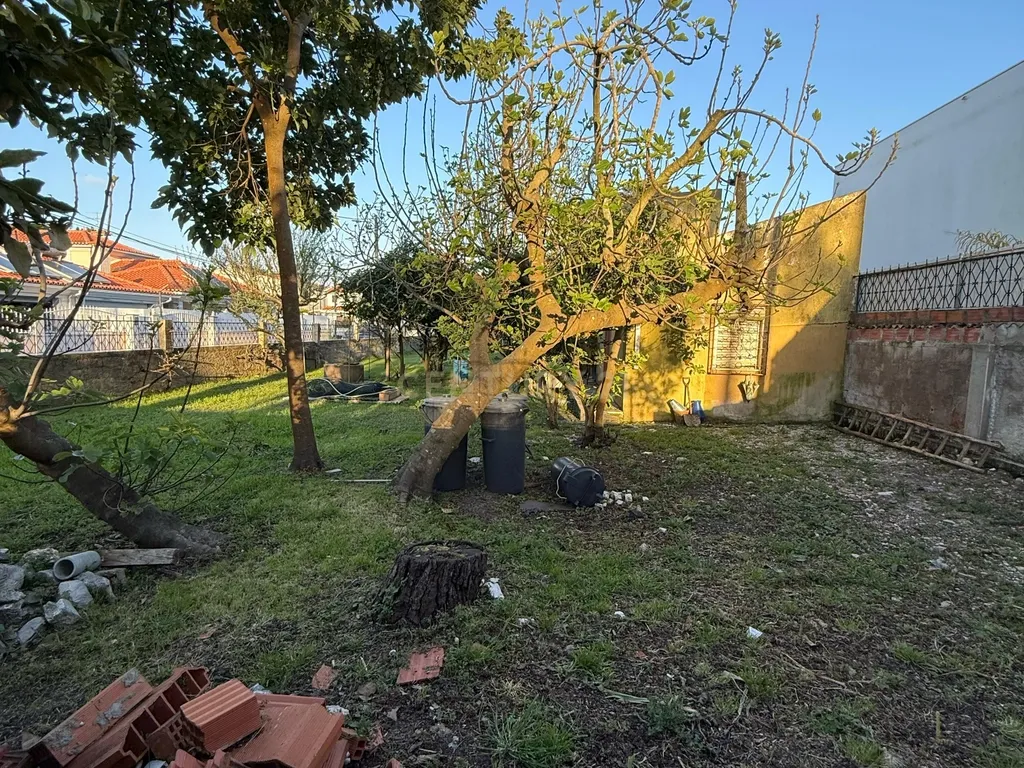 Terreno à Venda na Aroeira - Próximo às Praias e Comércio - Image 7