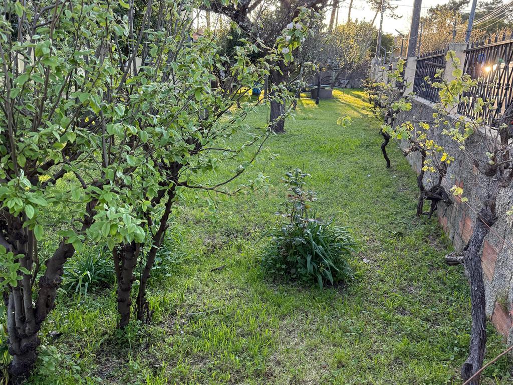 Terreno à Venda na Aroeira - Próximo às Praias e Comércio - Image 5
