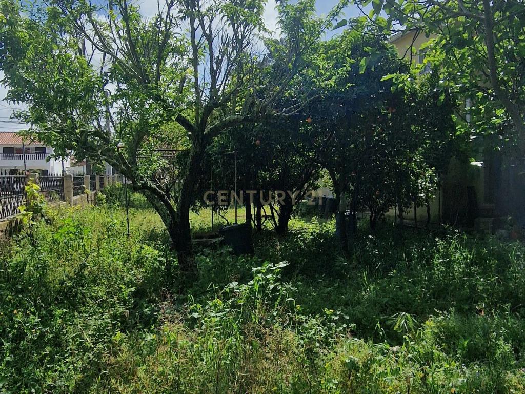 Terreno à Venda na Aroeira - Próximo às Praias e Comércio - Image 4