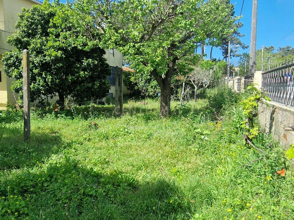 Terreno à Venda na Aroeira - Próximo às Praias e Comércio - Image 3