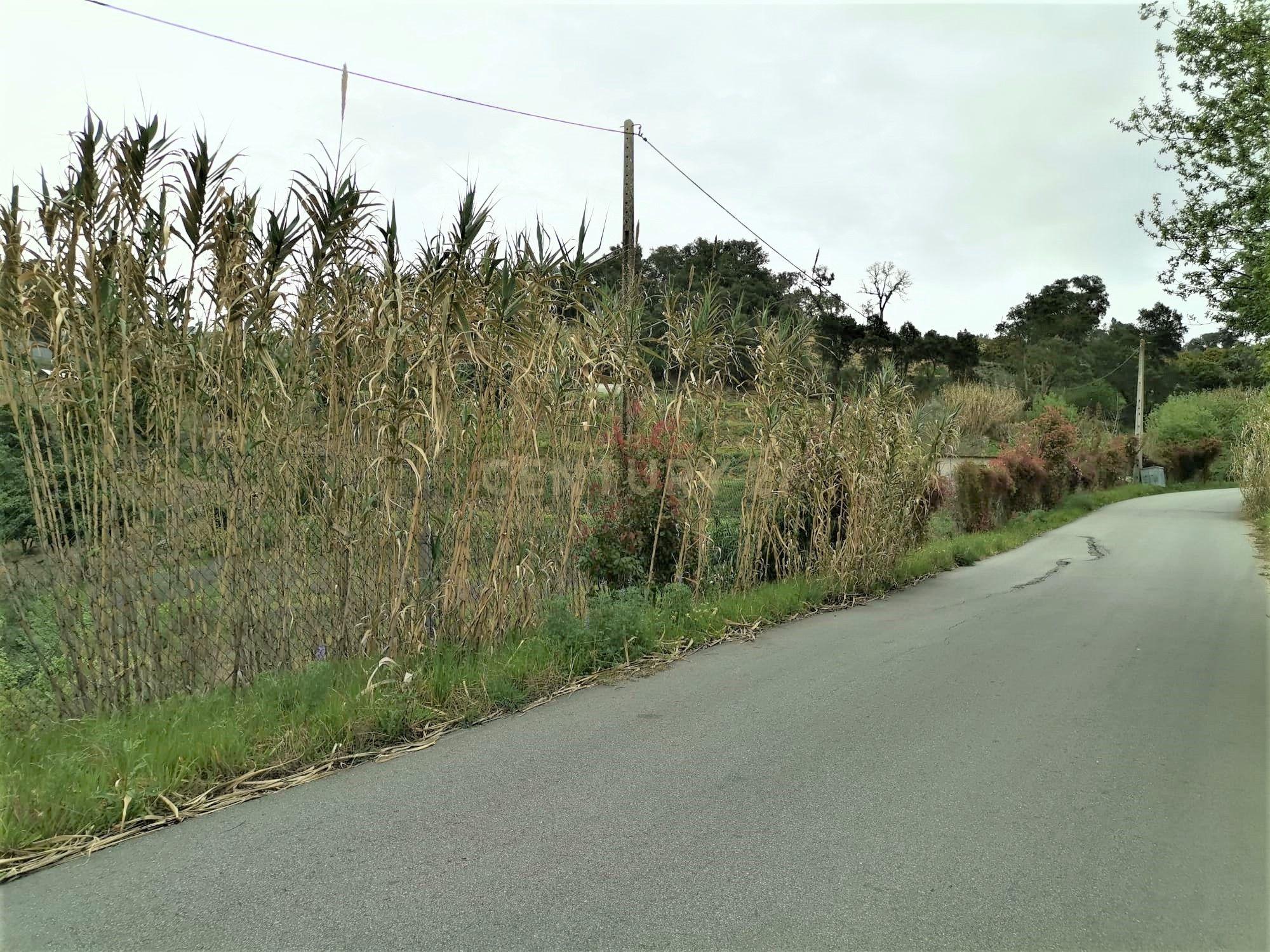 Terreno agrícola com àgua e viabilidade de construção em Granja, S. Tomé de Covelas, Baião, perto do do rio Douro, Porto - Image 23