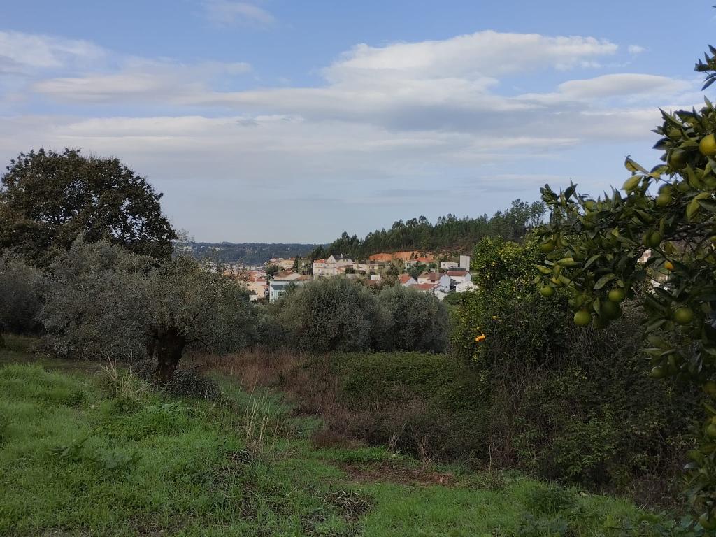Terreno de construção habitacional em Pombal - Image 12
