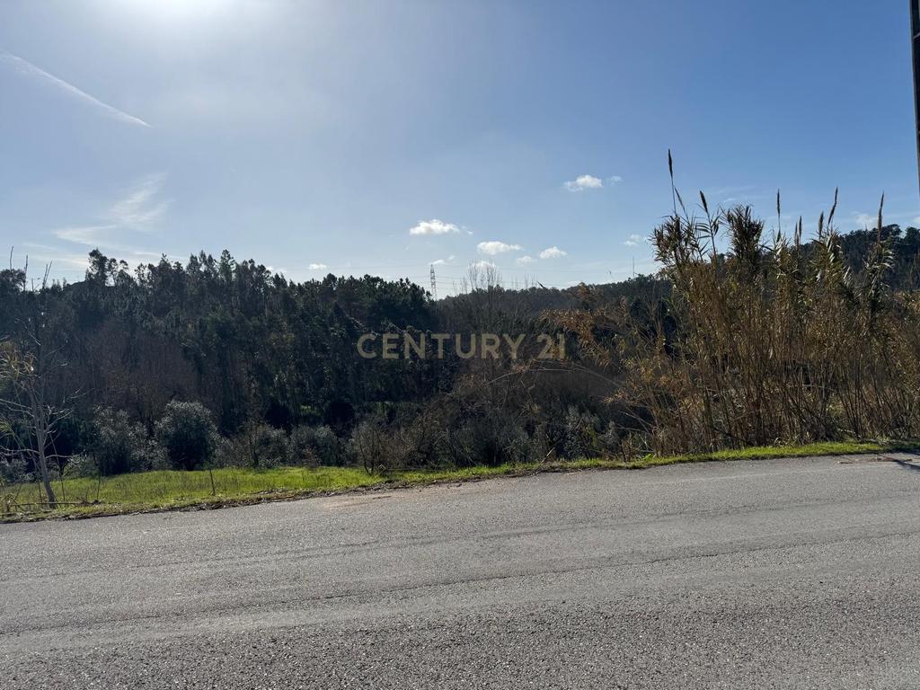 Terreno Panorâmico em Pombal - 1020m² por 34.500€ - Image 3