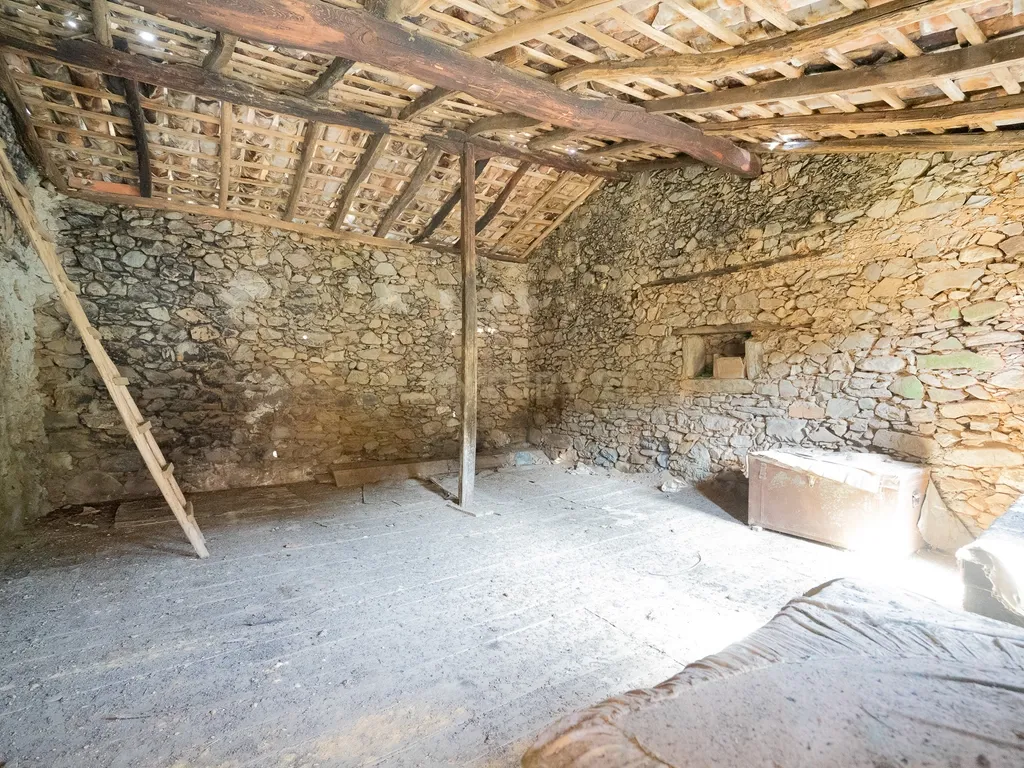 Moradias para Reconstruir em Ribas, Vila Nova de Poiares - Image 33
