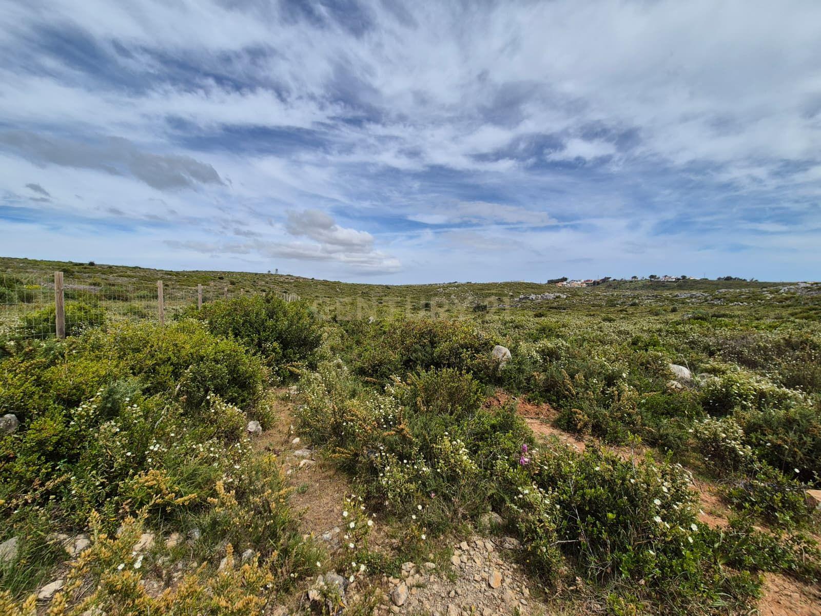Fotografia 2 de Terreno Rústico com 20.000 m² em Murches, Cascais – Vista Serra de Sintra e Potencial Construção