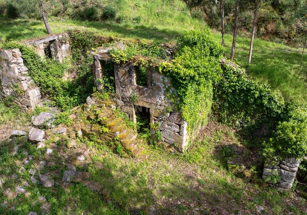 Quinta Exclusiva, rodeada de natureza e com vistas fantásticas sobre o Rio Douro - Image 33