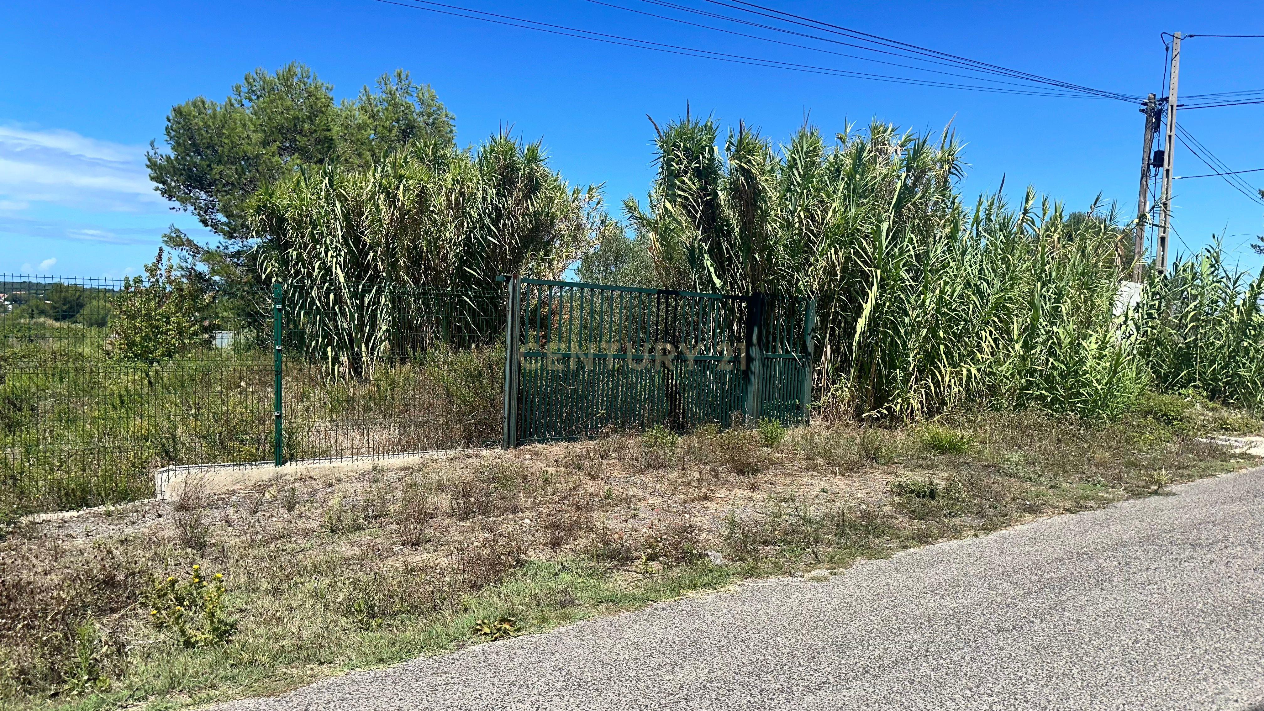 Fotografia 7 de Vende-se Terreno com 7880 m2 e vista privilegiada para a Serra de Sintra  - Galamares.