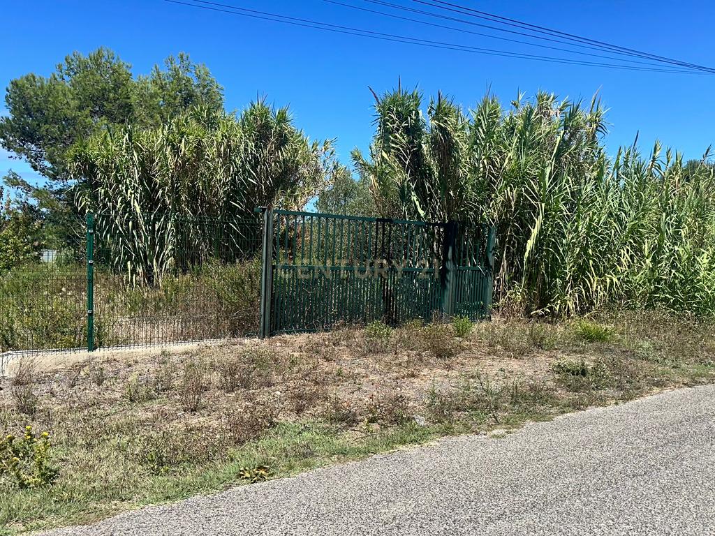 Vende-se Terreno com 7880 m2 e vista privilegiada para a Serra de Sintra - Galamares. - Image 7