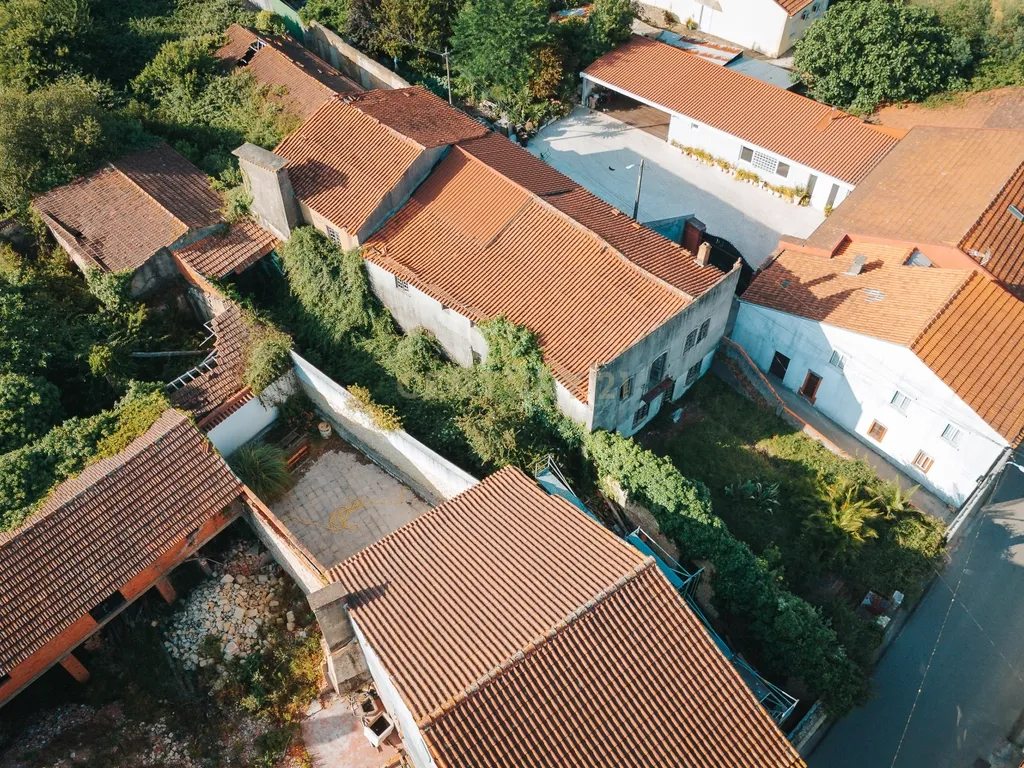 Casa para Recuperar em Vacariça, Mealhada - 677m² - Image 5
