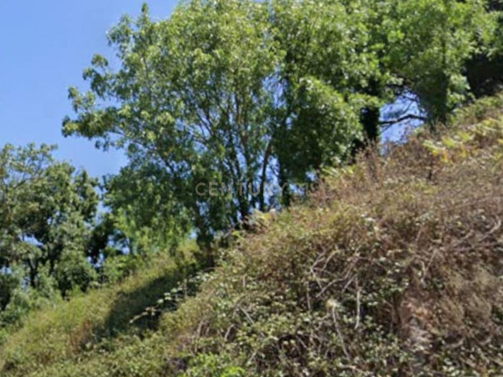 Terreno Rústico em Sintra: Localização Privilegiada e Tranquila- Almargem do Bispo - Image 9