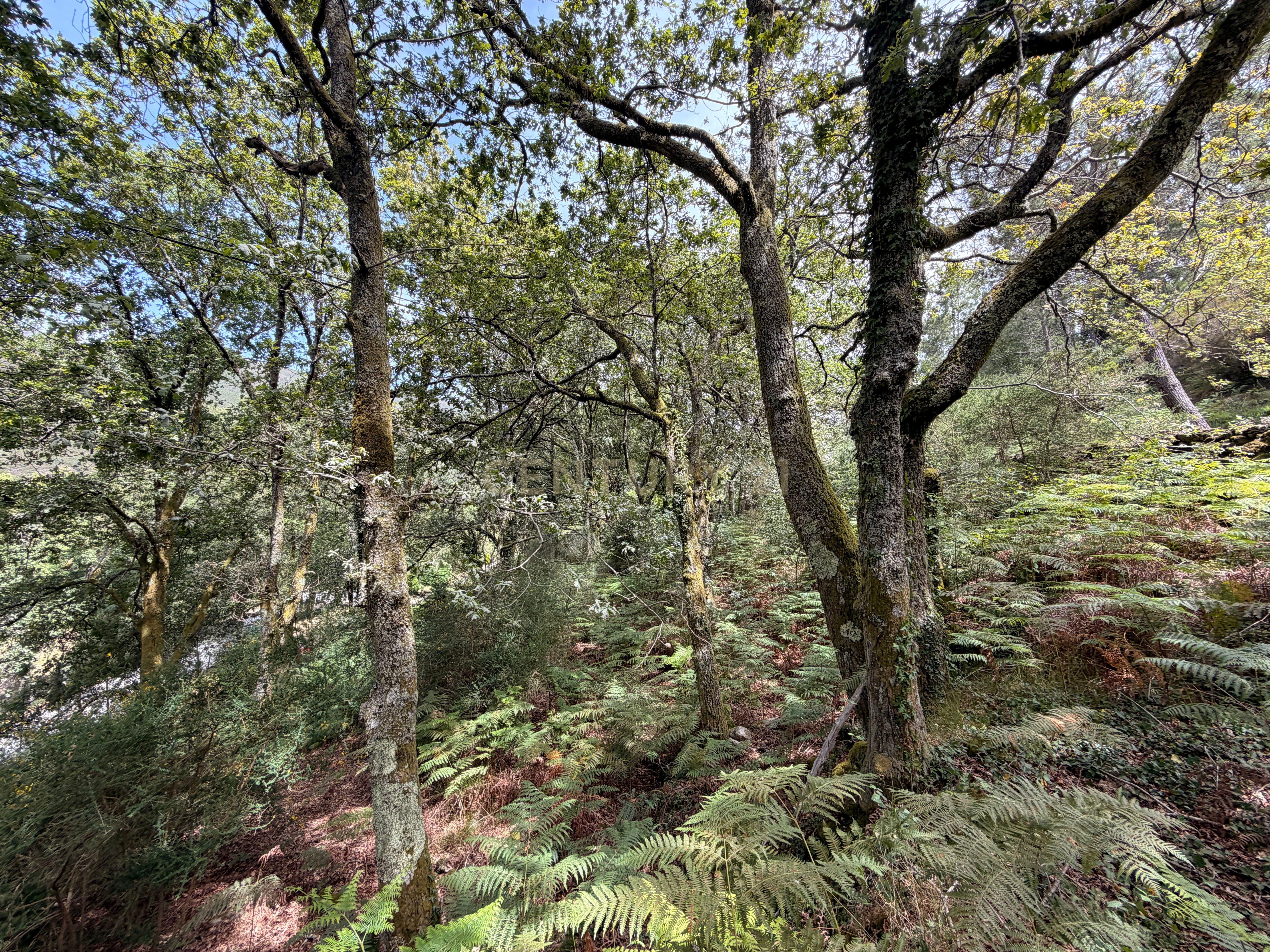 Moradia T1 à venda em Soajo, Arcos de Valdevez — foto 19